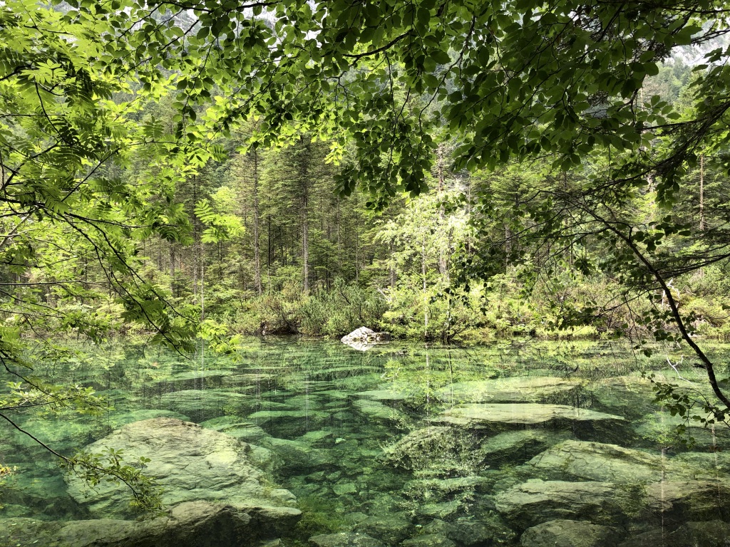 1AE0CE1D-6724-47C3-A5F1-14C1F243C92A_1_105_c